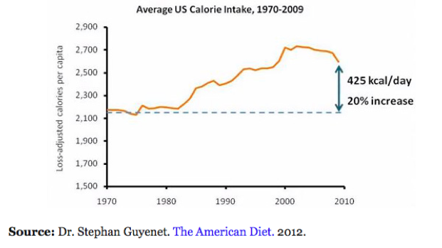 Average U.S. Calorie Intake Dr. Stephen Guyenet. The American Diet 2012