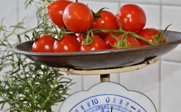 Weight Scale Healthy Tomatoes