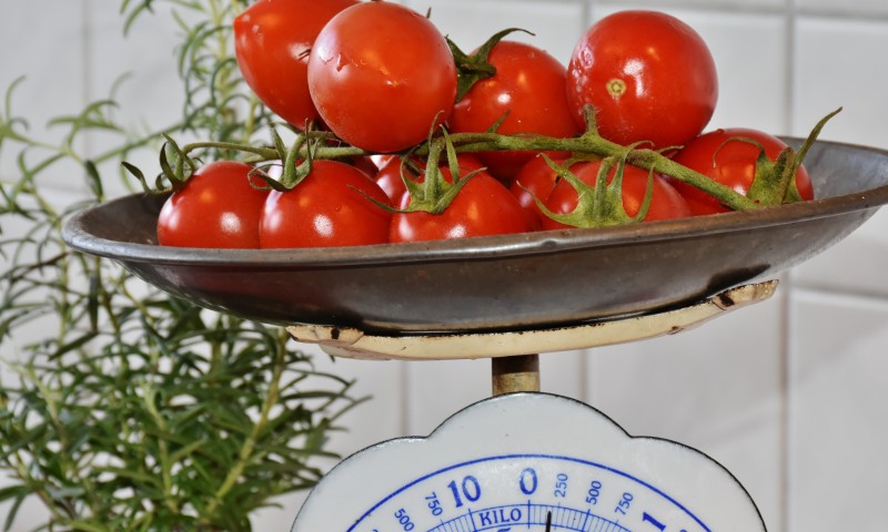 Weight Scale Healthy Tomatoes
