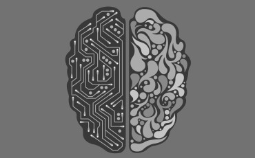Understanding the Brain's Reward System