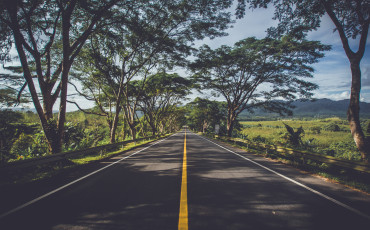 Stay Healthy While You Travel