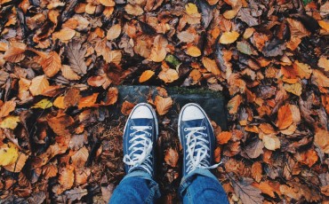 Fall Reset Button Leaves
