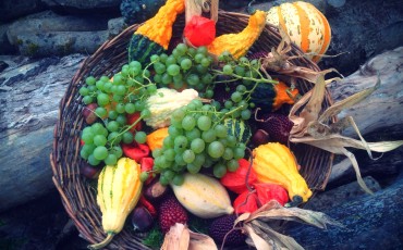 Holiday eating strategies