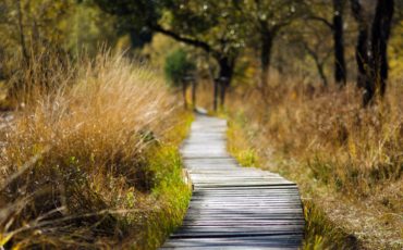 progression, journey