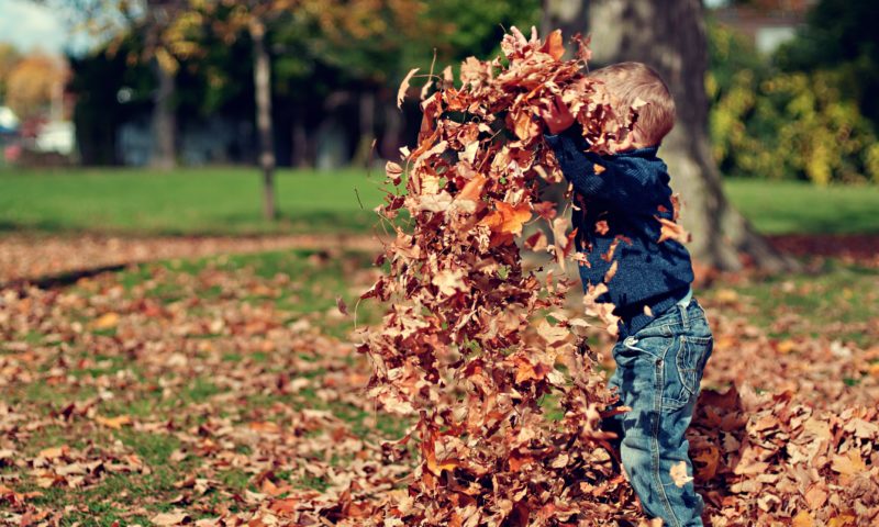 Try these outdoor activities in the fall weather
