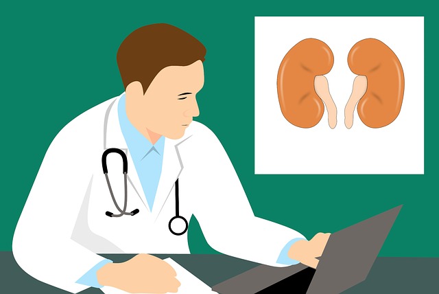 Kidney health and your weight are connected