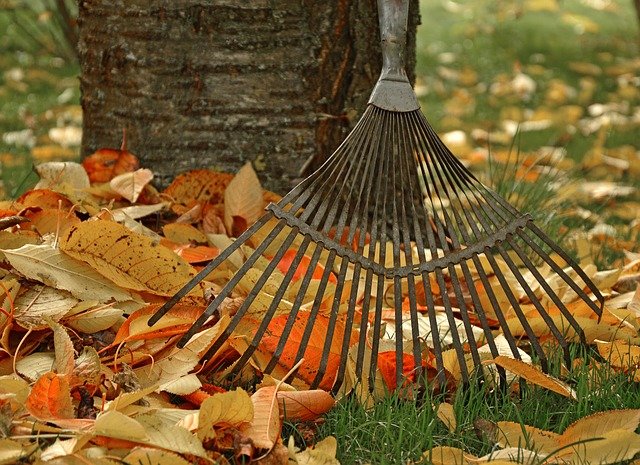 Blog image: raking leaves