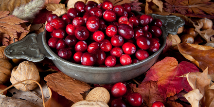 Fall Produce - Bowl of Cranberries