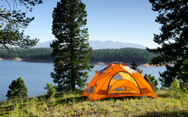A tent on the side of a hill overlooking tall trees and the water