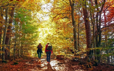 a couple takes a hike with their dog during Autumn